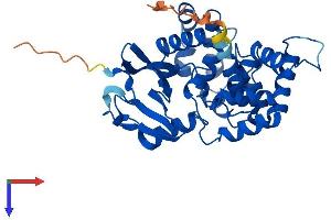 AlphaFold protein structure predicition of Human Recombinant OGG1 Protein, UniprotID O15527