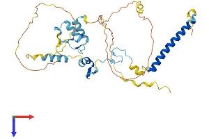 AlphaFold protein structure predicition of Human Recombinant ATXN7L3 Protein, UniprotID Q14CW9