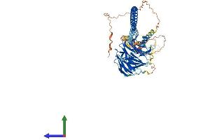 AlphaFold protein structure predicition of Mouse Recombinant Spag16 Protein, UniprotID Q8K450