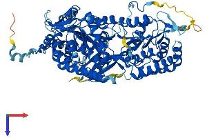 AlphaFold protein structure predicition of Mouse Recombinant Aldh16a1 Protein, UniprotID Q571I9