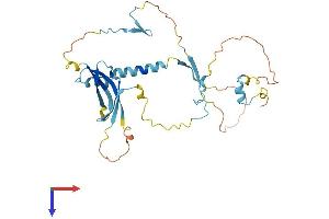 AlphaFold protein structure predicition of Human Recombinant SLC7A6OS Protein, UniprotID Q96CW6