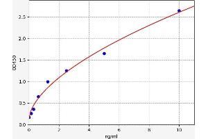Typical standard curve (HSF4 Kit ELISA)