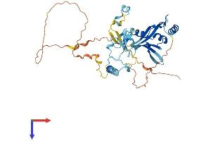 AlphaFold protein structure predicition of Mouse Recombinant Rassf5 Protein, UniprotID Q5EBH1