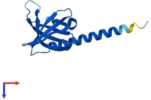 AlphaFold protein structure predicition of Mouse Recombinant Phlda3 Protein, UniprotID Q9WV95