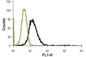 Cell surface detection of PAR-4 in live human promyelocytic leukemia HL-60 cells: (black line) Unstained cells + FITC-conjugated goat anti-rabbit antibody.