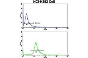 Flow Cytometry (FACS) image for anti-Elongator Acetyltransferase Complex Subunit 2 (ELP2) antibody (ABIN3001690)