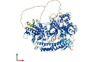 AlphaFold protein structure predicition of Human Recombinant PLCL1 Protein, UniprotID Q15111