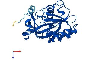 AlphaFold protein structure predicition of Human Recombinant IDI2 Protein, UniprotID Q9BXS1