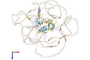 AlphaFold protein structure predicition of Mouse Recombinant Gli1 Protein, UniprotID P47806