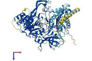 AlphaFold protein structure predicition of Mouse Recombinant Acsl3 Protein, UniprotID Q9CZW4