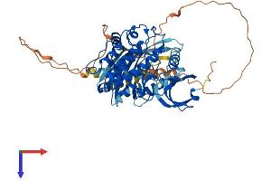 AlphaFold protein structure predicition of Human Recombinant CAMK2G Protein, UniprotID Q13555