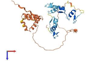 AlphaFold protein structure predicition of Mouse Recombinant Osr2 Protein, UniprotID Q91ZD1