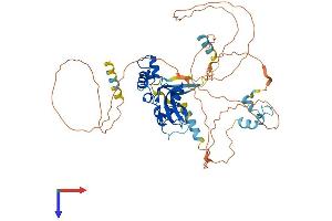 AlphaFold protein structure predicition of Mouse Recombinant Socs5 Protein, UniprotID O54928