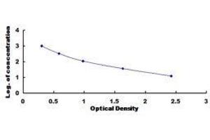 Cholecystokinin 8, Octapeptide (CCK8) ELISA Kit