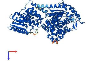 AlphaFold protein structure predicition of Human Recombinant EHHADH Protein, UniprotID Q08426