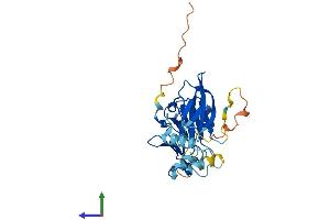 AlphaFold protein structure predicition of Human Recombinant NEURL2 Protein, UniprotID Q9BR09