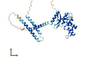 AlphaFold protein structure predicition of Mouse Recombinant Otud6b Protein, UniprotID Q8K2H2