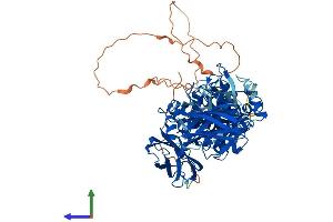 AlphaFold protein structure predicition of Mouse Recombinant Tgm1 Protein, UniprotID Q9JLF6