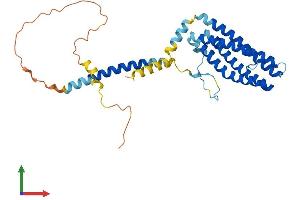 AlphaFold protein structure predicition of Mouse Recombinant Scamp2 Protein, UniprotID Q9ERN0