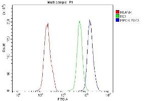 Flow Cytometry analysis of PC-3 cells using anti-PPCS antibody (ABIN7602752). (PPCS anticorps  (C-Term))