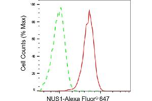 Flow cytometric analysis of NUS1 expression in HepG2 cells using NUS1 antibody (ABIN7799615), 1:2,000).