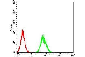 Flow cytometric analysis of Hela cells using CALB2 mouse mAb (green) and negative control (red).