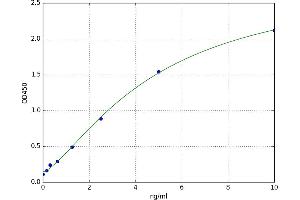 Signal Peptide, CUB Domain, EGF-Like 1 (SCUBE1) ELISA Kit
