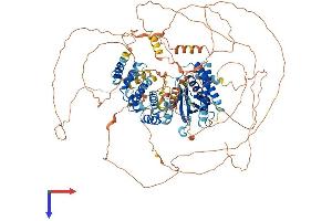 AlphaFold protein structure predicition of Human Recombinant PSD Protein, UniprotID A5PKW4