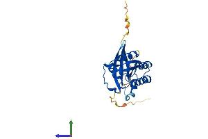 AlphaFold protein structure predicition of Mouse Recombinant Rab5a Protein, UniprotID Q9CQD1
