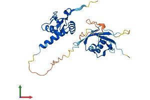 AlphaFold protein structure predicition of Human Recombinant PCGF5 Protein, UniprotID Q86SE9