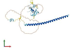 AlphaFold protein structure predicition of Human Recombinant THAP7 Protein, UniprotID Q9BT49