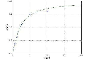 A typical standard curve (GJB2 Kit ELISA)