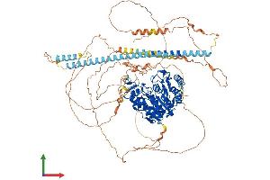AlphaFold protein structure predicition of Human Recombinant HDAC9 Protein, UniprotID Q9UKV0