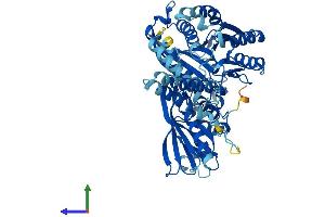 AlphaFold protein structure predicition of Mouse Recombinant Sacm1l Protein, UniprotID Q9EP69