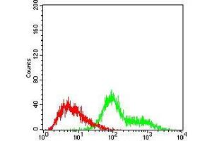 Flow cytometric analysis of Hela cells using TUBE1 mouse mAb (green) and negative control (red).