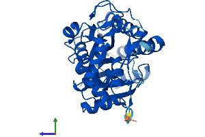 AlphaFold protein structure predicition of Mouse Recombinant Gale Protein, UniprotID Q8R059
