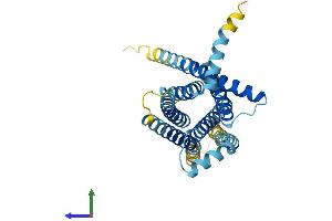 AlphaFold protein structure predicition of Human Recombinant TAS2R40 Protein, UniprotID P59535