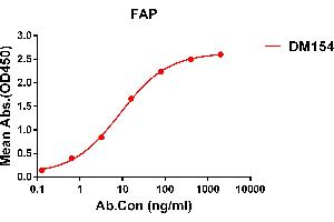ELISA plate pre-coated by 1 μg/mL (100 μL/well) Human FAP protein, His tagged protein (ABIN7092782) can bind Rabbit anti-FAP monoclonal antibody(clone: DM154) in a linear range of 1-500 ng/mL. (FAP anticorps  (AA 30-760))