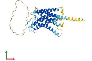 AlphaFold protein structure predicition of Mouse Recombinant Ackr1 Protein, UniprotID Q9QUI6