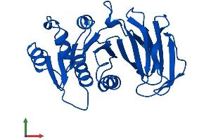 AlphaFold protein structure predicition of Mouse Recombinant Tpk1 Protein, UniprotID Q9R0M5