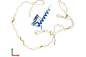 AlphaFold protein structure predicition of Mouse Recombinant Hoxb13 Protein, UniprotID P70321