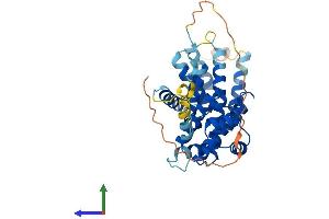 AlphaFold protein structure predicition of Mouse Recombinant Ccng2 Protein, UniprotID O08918