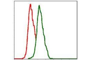 Flow cytometric analysis of Hela cells using ITGB1 mouse mAb (green) and negative control (red).