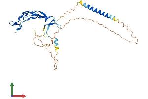 AlphaFold protein structure predicition of Human Recombinant EDA2R Protein, UniprotID Q9HAV5