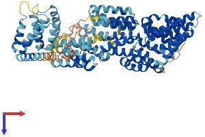 AlphaFold protein structure predicition of Human Recombinant ANAPC5 Protein, UniprotID Q9UJX4
