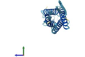 AlphaFold protein structure predicition of Mouse Recombinant Emp3 Protein, UniprotID O35912