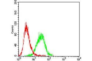 Flow cytometric analysis of Jurkat cells using CD6 mouse mAb (green) and negative control (red).