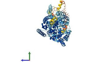 AlphaFold protein structure predicition of Human Recombinant SLC5A2 Protein, UniprotID P31639