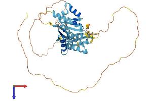 AlphaFold protein structure predicition of Human Recombinant PCBP4 Protein, UniprotID P57723