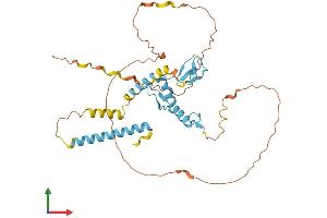 AlphaFold protein structure predicition of Human Recombinant ZNF367 Protein, UniprotID Q7RTV3